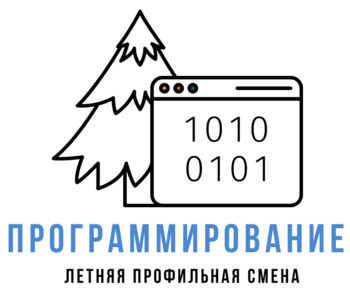 Профильная смена «Программирование», которая пройдёт в ДОЛ «Вишкиль» с 29 июля по 11 августа 2023 года..